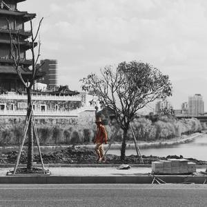 中文字幕乱人伦视频在线
