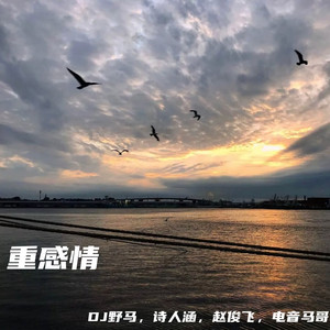 中文字幕乱人伦视频在线
